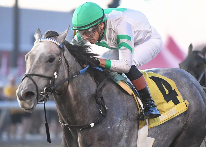 J J Grey, Trendsetter Head West Virginia Derby